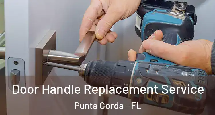 Door Handle Replacement Service Punta Gorda - FL