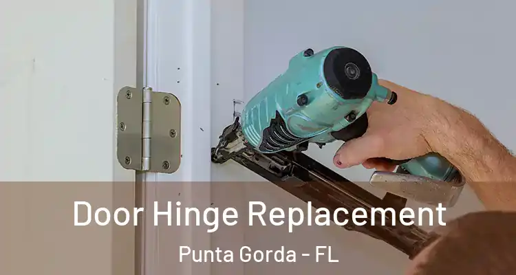 Door Hinge Replacement Punta Gorda - FL