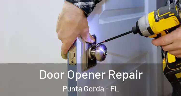 Door Opener Repair Punta Gorda - FL