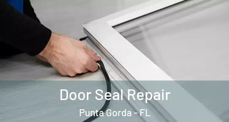 Door Seal Repair Punta Gorda - FL