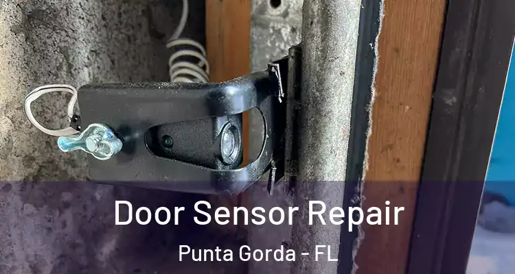 Door Sensor Repair Punta Gorda - FL