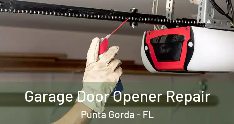 Garage Door Opener Repair Punta Gorda - FL
