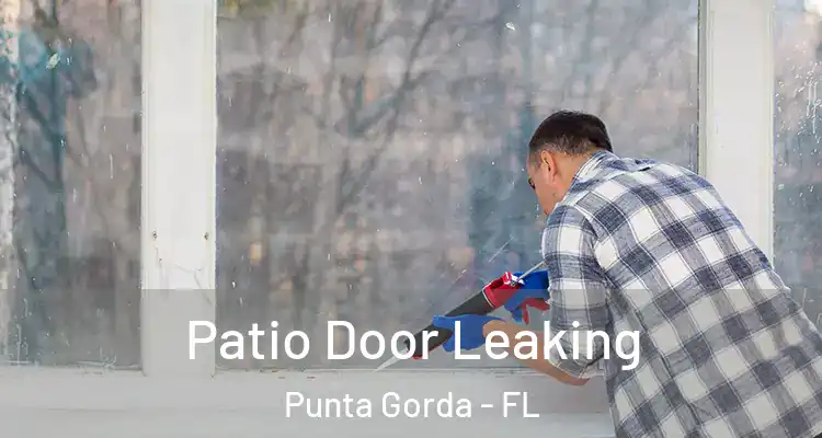 Patio Door Leaking Punta Gorda - FL