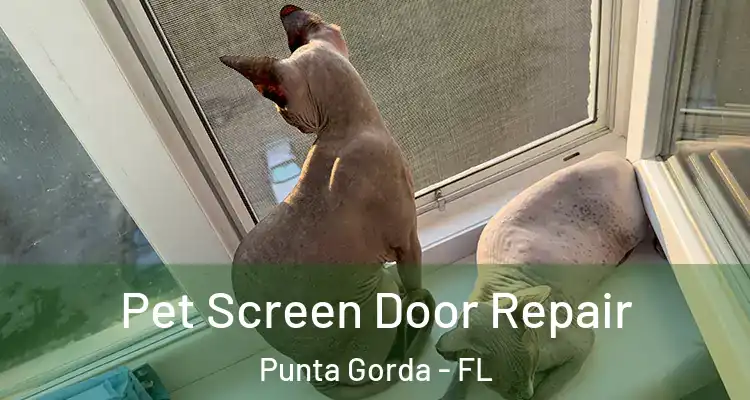 Pet Screen Door Repair Punta Gorda - FL