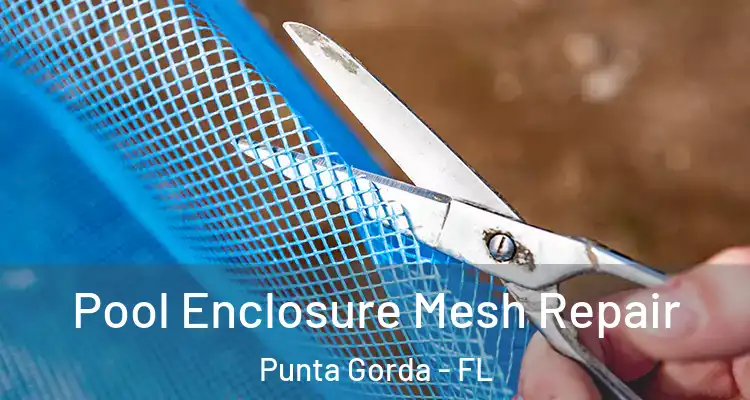 Pool Enclosure Mesh Repair Punta Gorda - FL