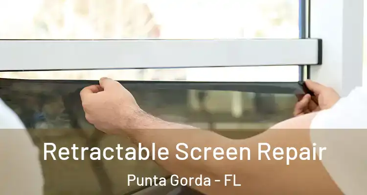 Retractable Screen Repair Punta Gorda - FL