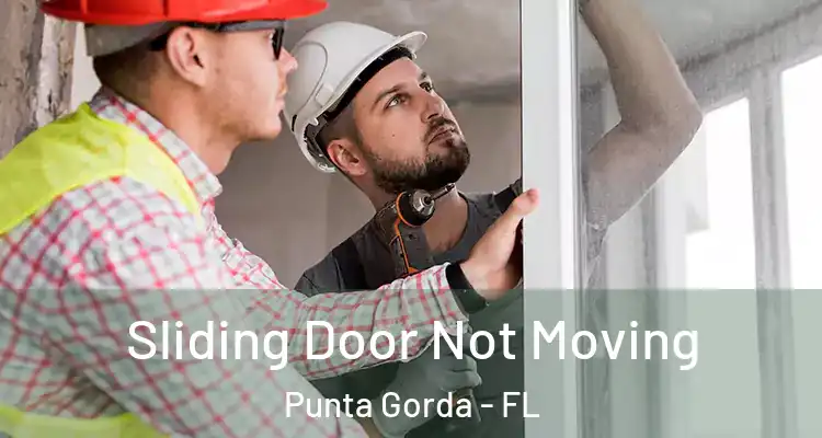 Sliding Door Not Moving Punta Gorda - FL