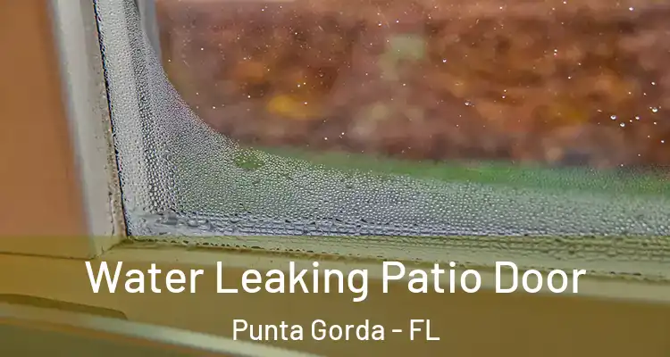 Water Leaking Patio Door Punta Gorda - FL